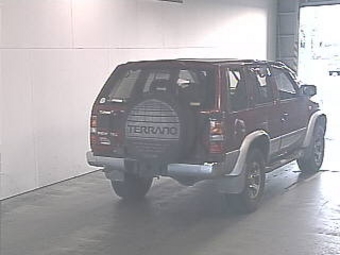 Terrano