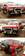 Pictures Nissan Terrano
