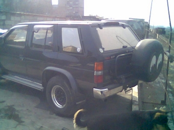 Terrano