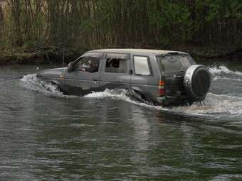 Terrano