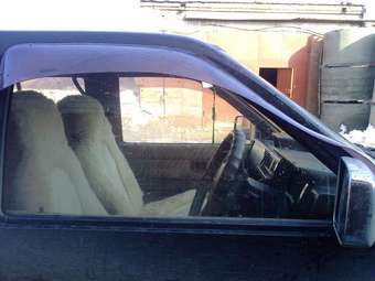 Terrano
