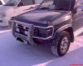 Terrano