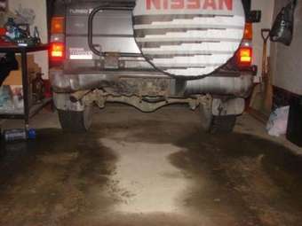 Nissan Terrano