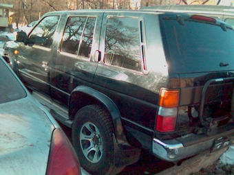 Terrano