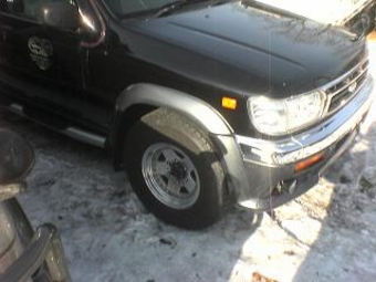 Terrano