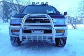 Terrano