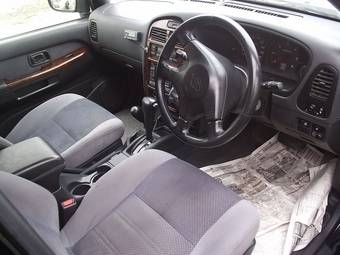 Terrano