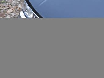 Terrano