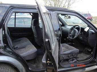 Terrano