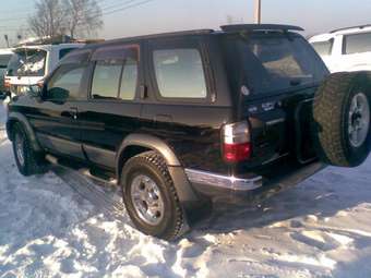 Terrano