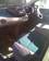 Pics Nissan Tino