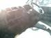 Preview Nissan Vanette