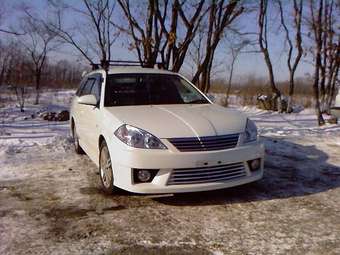 2003 Nissan Wingroad Photos