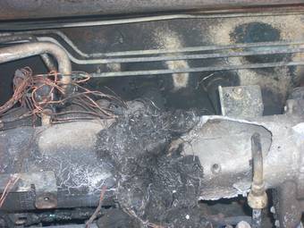 2001 Nissan X-Trail Pictures