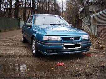 1993 Opel Vectra Pictures