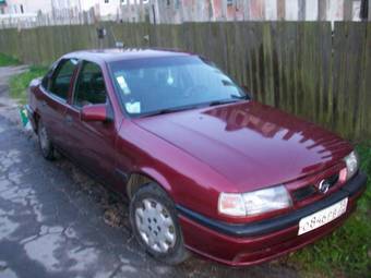 1994 Opel Vectra Photos