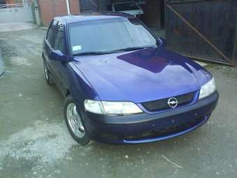 1996 Opel Vectra Pictures