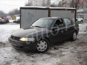 1996 Opel Vectra Pictures