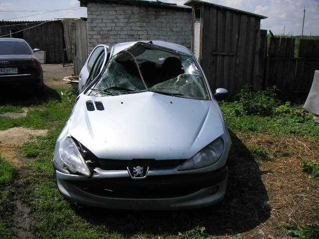2001 Peugeot 206