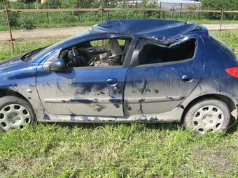 2006 Peugeot 206 Pictures