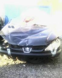 2008 Peugeot 206 Photos
