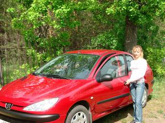 2008 Peugeot 206 Sedan