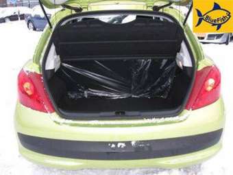 2007 Peugeot 207 Images
