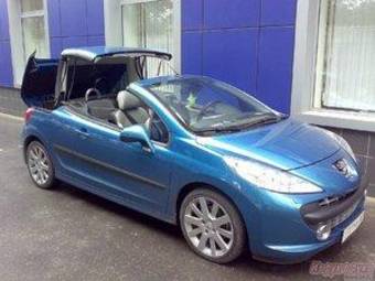 2007 Peugeot 207 Pics