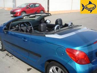 2007 Peugeot 207 Photos