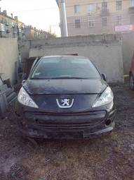 2008 Peugeot 207 Wallpapers