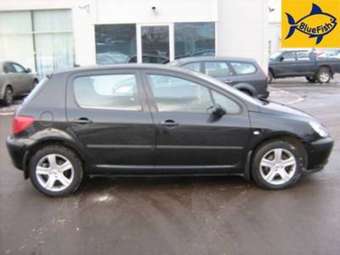 2005 Peugeot 307 Pics