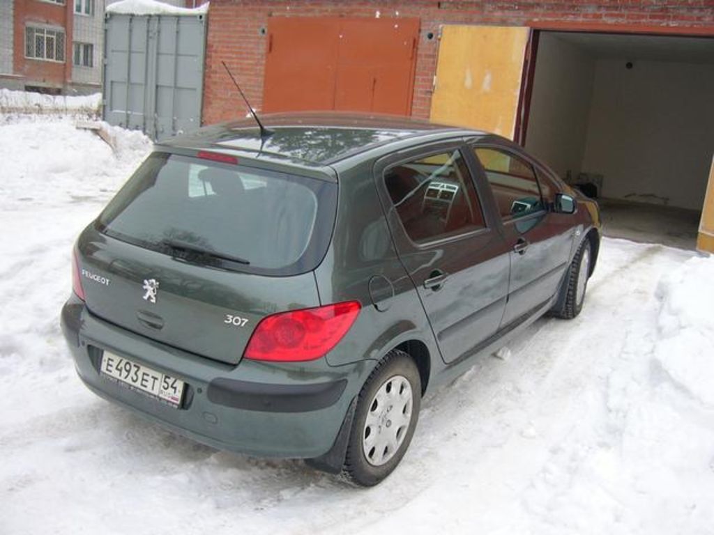 2007 Peugeot 307