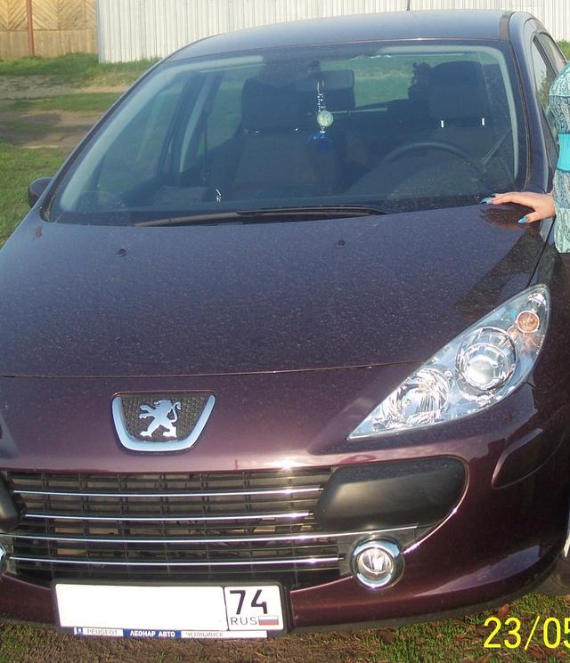 2007 Peugeot 307