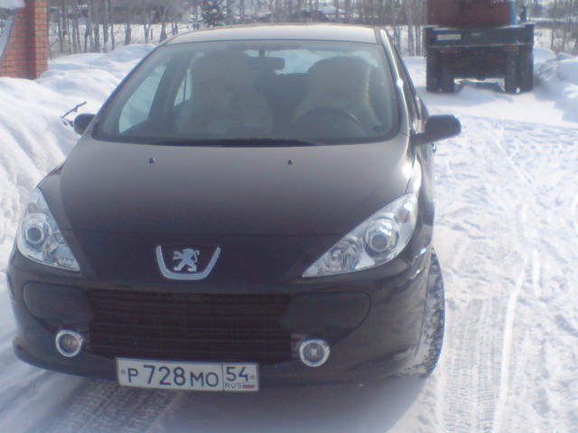 2007 Peugeot 307