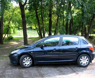 2007 Peugeot 307