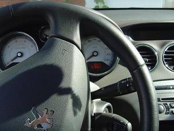 2008 Peugeot 308 Photos