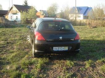 2010 Peugeot 308 Photos