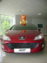 2007 Peugeot 407 Photos