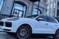 2019 Cayenne III PO536 3.0 Tiptronic (340 Hp) 