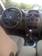 Preview Renault Megane