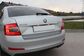 2013 Skoda Octavia III 5E 1.4 TSI DSG Elegance  (140 Hp) 