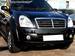 Preview Rexton