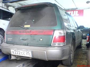 Forester