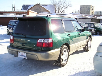 Forester