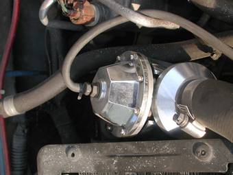 2001 Subaru Forester Pictures