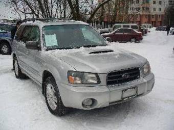 2004 Subaru Forester Pics