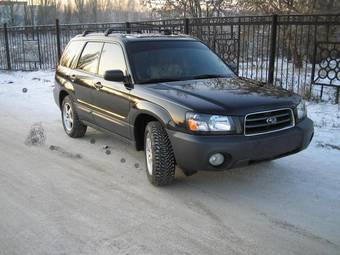 2004 Subaru Forester Pictures