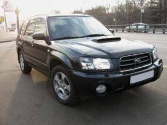 2004 Subaru Forester Pictures