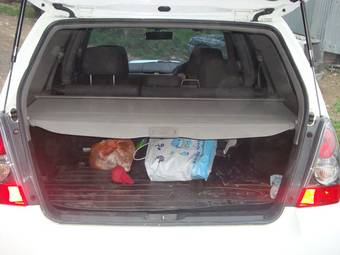 2005 Subaru Forester Pictures