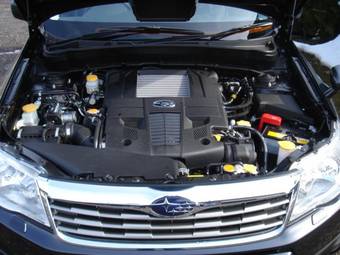 2008 Subaru Forester Pictures